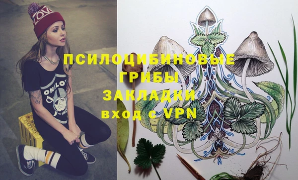прущая мука Абаза
