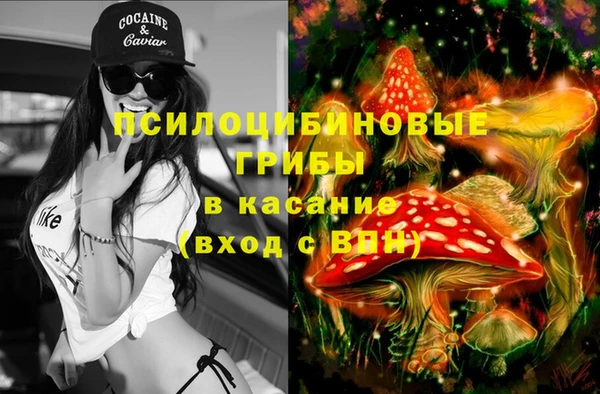 меф Пролетарск